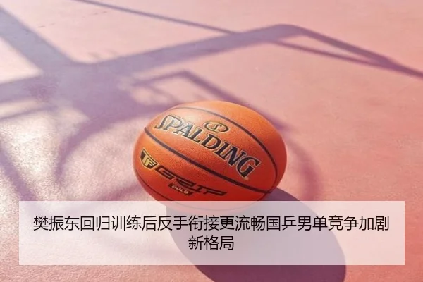 樊振东回归训练后反手衔接更流畅国乒男单竞争加剧新格局